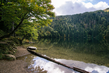 The Feldsee in autumn. The Feldsee is a small lake at the Bottom of Feldberg the highest mountain in the black forest