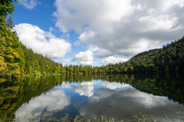 Fototapeta na wymiar The Feldsee in autumn. The Feldsee is a small lake at the Bottom of Feldberg the highest mountain in the black forest
