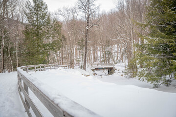 A snow covered trail in the White Mountains of New Hampshire