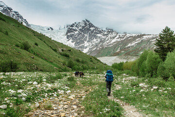 Active male traveller lost in snowy mountains,Georgia.Backpacker exploring Greater Caucasus.Wild pure nature,iceberg,horse on pasture.Popular travel destination.Wanderlust man.Travel agency concept.