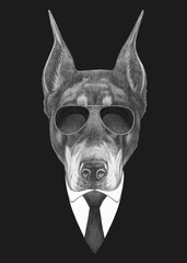 Portrait of Doberman Pincher in suit and sunglasses. Bodyguard. Hand-drawn illustration. 