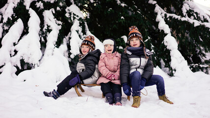 Fototapeta na wymiar Geschwisterkinder haben Spaß im Winter. Drei Kinder sitzen auf einem Schlitten und freuen sich über den Schnee. Eine Tanne ist im Hintergrund zu sehen.