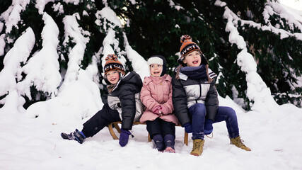 Geschwisterkinder haben Spaß im Winter. Drei Kinder sitzen auf einem Schlitten und freuen sich über den Schnee. Eine Tanne ist im Hintergrund zu sehen.
