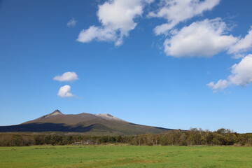 のどかな山の風景