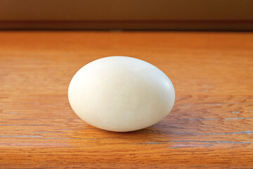 Duck Egg