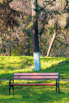 city park in early spring. bench on the grassy lawn in the shadow of the trees in front of the footpath. beautiful urban nature scenery on a sunny day