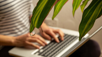 Green space in everyday life: working on laptop in a comfort of home office oasis. Woman typing on...