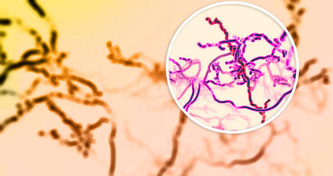 Microscopic view of neurons. Brain connections. Synapses. Communication and cerebral stimulus. Neural network circuit, degenerative diseases, Parkinson, Alzheimer. 3d render