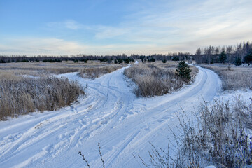 Nature of Russia in a frosty winter