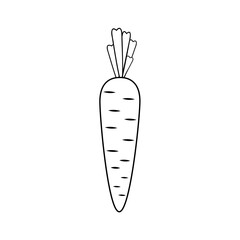 Carrot black outline, vector isolated illustration in flat style, decor, decoration, clipart