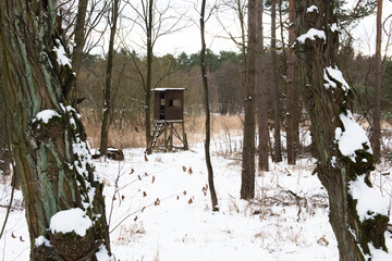 Winterjagd