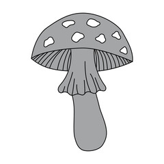 Hand drawn mushroom illustration. Vector autumn forest plants sketches. Perfect for recipe, menu, label, icon. Botanical set of mushrooms outlines