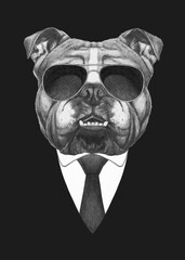 Portrait of English Bulldog in suit and sunglassses. Bodyguard. Hand-drawn illustration. 