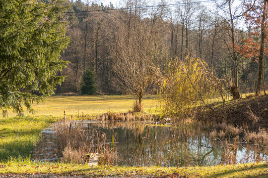 Weiher in Marquartstein, Chiemgau