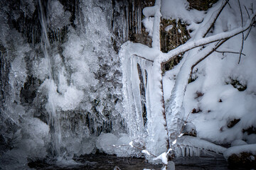 Vereiste Zweige im Winterbach