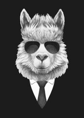 Portrait of Llama in suit and sunglasses. Bodyguard. Hand-drawn illustration. 