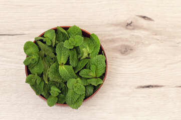 Wooden Bowl  and Mint leaves