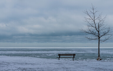 Lovely, lonely view of bleak winter landscape