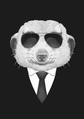Portrait of Meerkat in suit and sunlasses. Bodyguard. Hand-drawn illustration. 