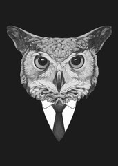 Portrait of Owl in suit. Bodyguard. Hand-drawn illustration. 