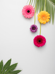 Creative floral arrangement on bright background. Minimal nature concept. Flat lay.