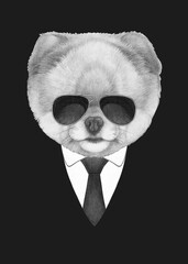 Portrait of Pomeranian in suit and sunglasses. Bodyguard. Hand-drawn illustration. 