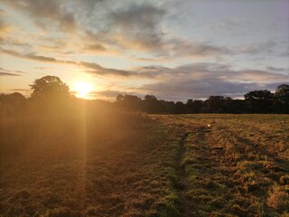 sunrise in fields
