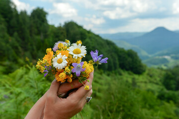 Hand holding bouquet of wildflowers and herbs in nature