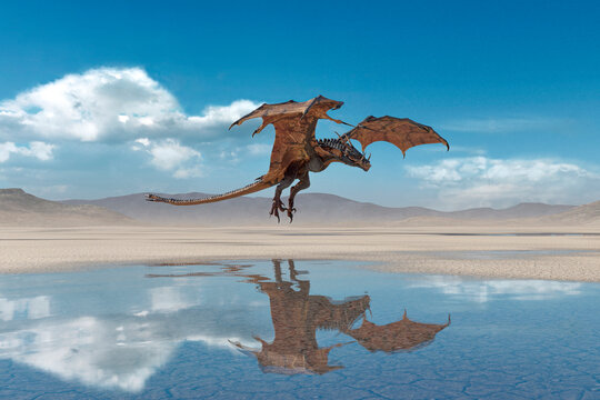 dragon is landing on desert after rain
