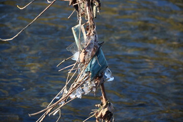 Corona Masken verschmutzen Natur am Fluss