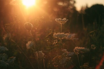 Processed with VSCO with 6 preset