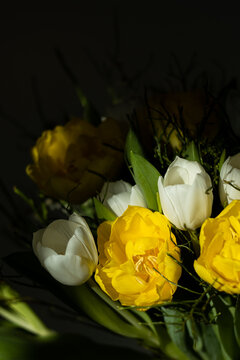 bouquet of yellow tulips with green leaves on black background