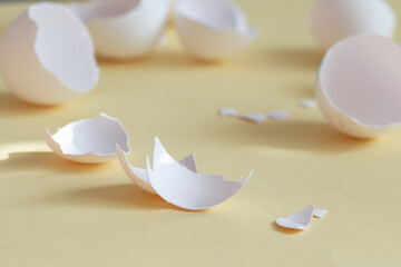 broken egg shell on yellow background with space for text, begging of life concept
