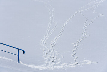 Many paths from footprints of people in the snow.
