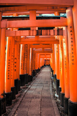 Fushimi Inari Taisha torii to Tyoko.