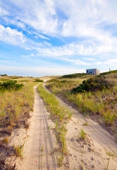 Road into the Cape Cod National Seashore