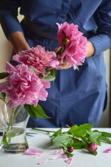 Woman, florist put a peonies in a vase. Beautiful pink pions peonies in a jar. Close up. Small local business.