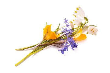 Flowers bunch