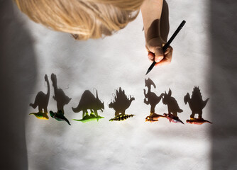 preschooler draws with pencil contrasting shadows from toy little dinosaurs standing in a row....