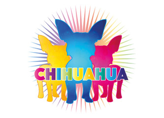 Fototapeta na wymiar drei bunte Chihuahua Hunde mit bunter Typografie