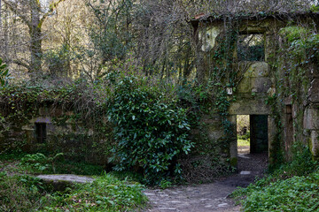 Old abandoned and ruined mill in a lush forest 