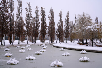 winter park of the city of Krasnodar   