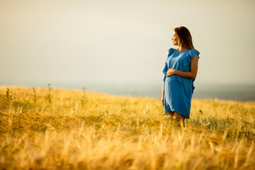 Young pregnant woman in blue dress relaxing outside in nature