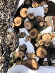 Сложенные дрова