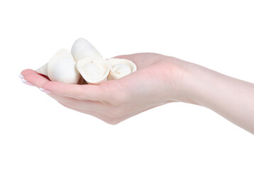 frozen dumplings in hand on white background isolation