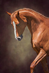 portrait of a brown horse © Val Thoermer