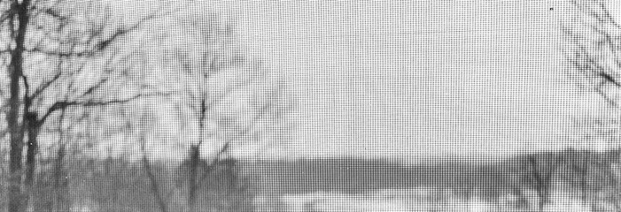 Looking through Screen of Window Showing Trees 