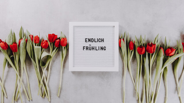 White Letter Board With Words In German Language Endlich Frühling Meaning Spring Is Here With Red Tulips. Long Banner, Modern And Clean Spring Design, Flat Lay, Copy Space.