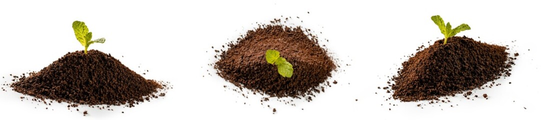 Roasted coffee ground on isolated white background