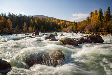 Autumn morning near the Akalaha river in Altai